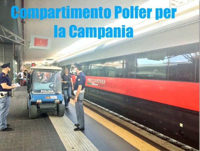 algerino polfer