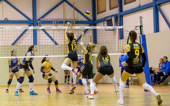 VOLARE-ARZANO-4