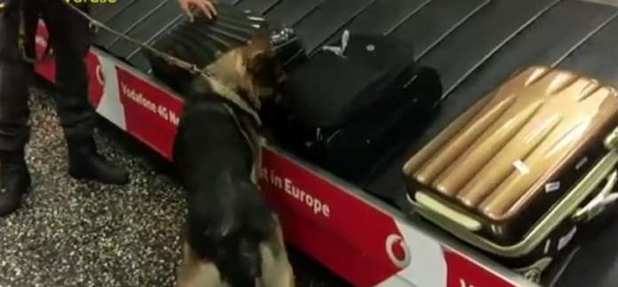 bagagli sequestro