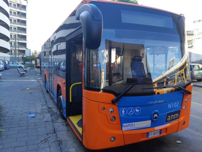 bus
