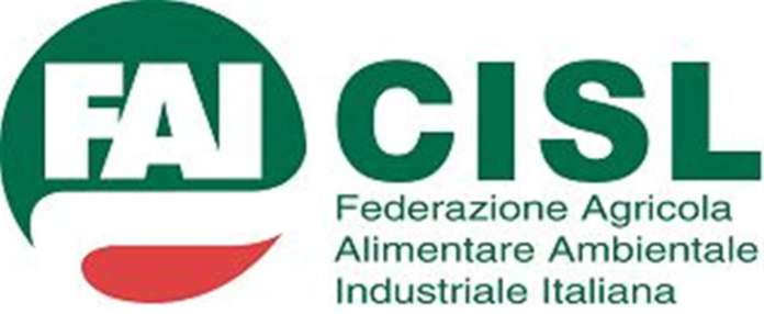 fai cisl