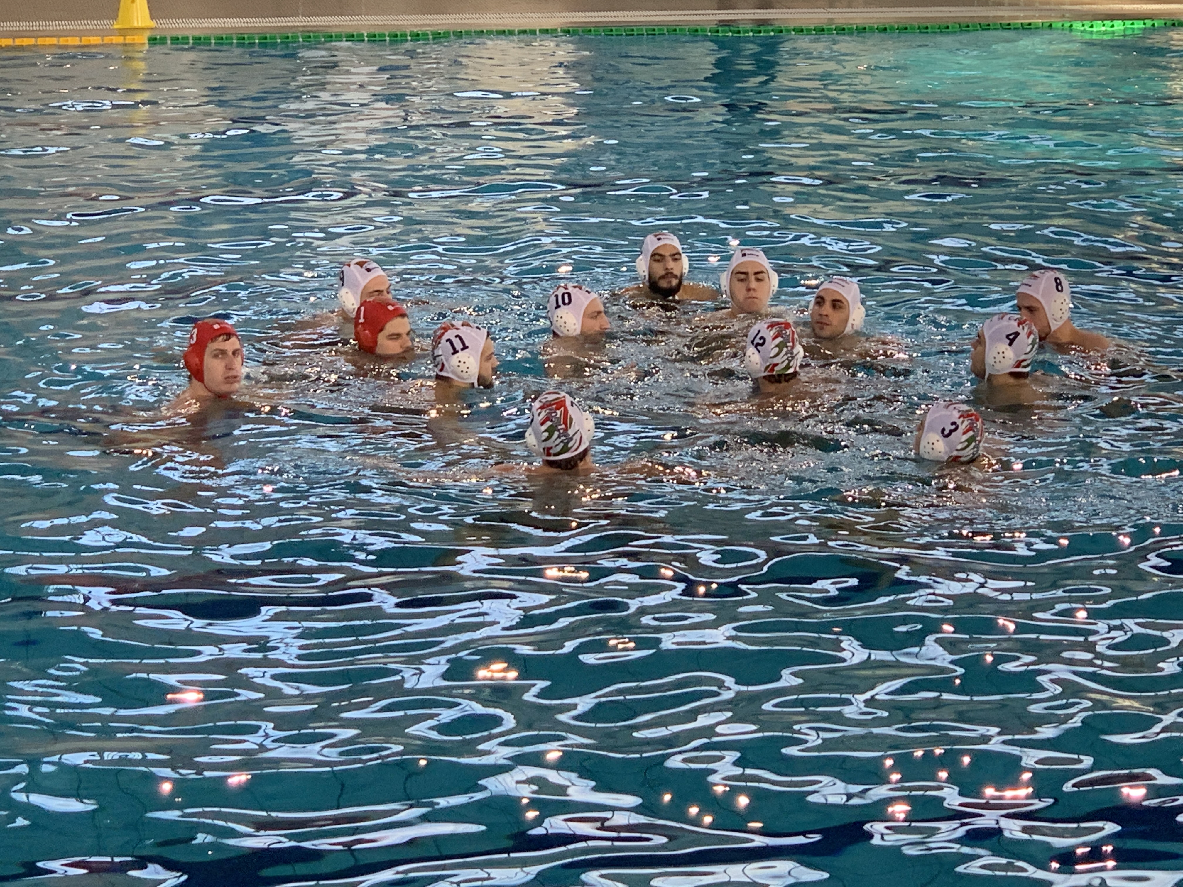 posillipo pallanuoto