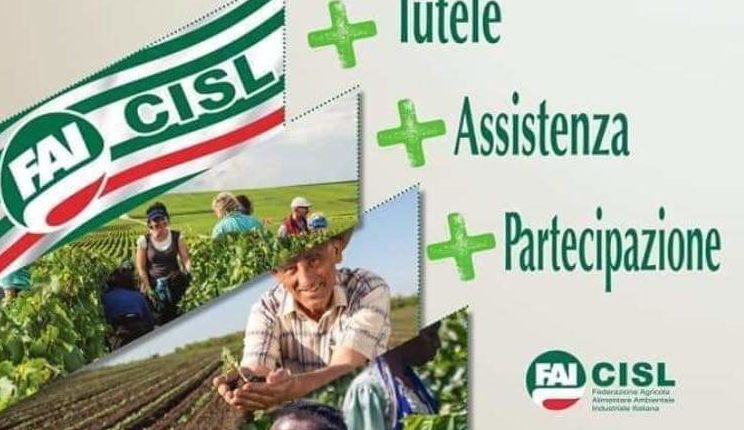 #FAIDIPIU DISOCCUPAZIONE AGRICOLA 2019