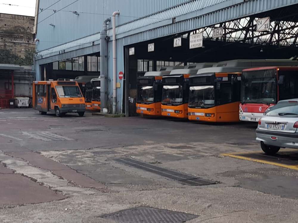 bus_cavalleggeri