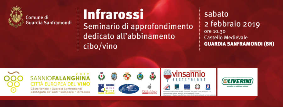 Infrarossi-web Guardia Sanframondi