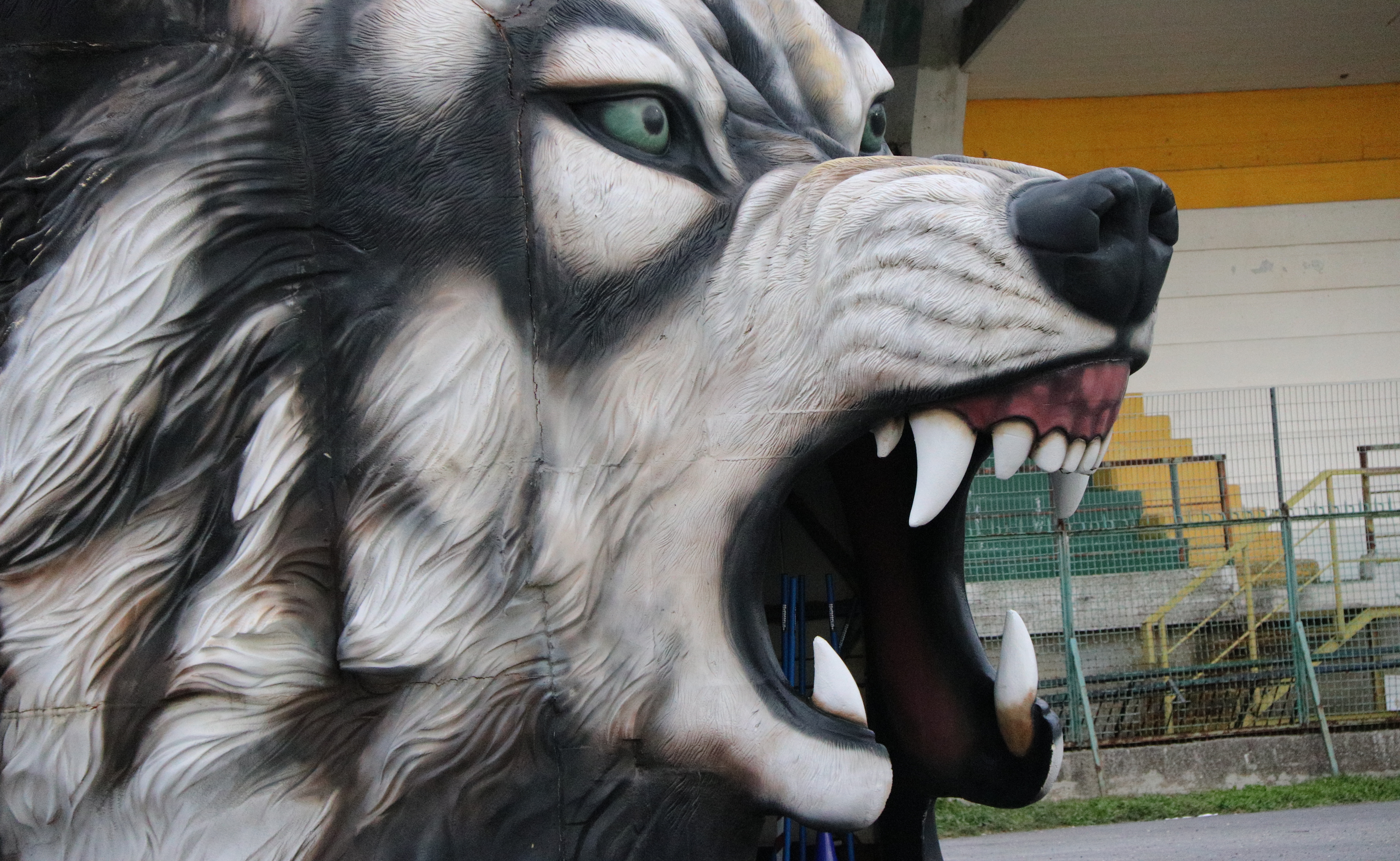 Lupo stadio
