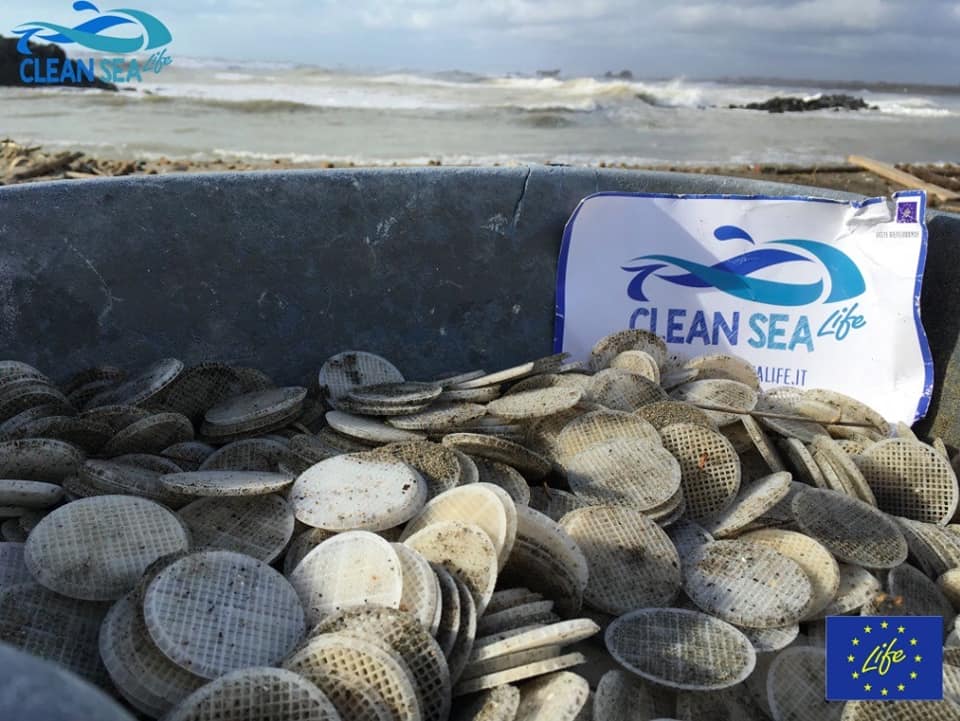 dischetti clean sea life