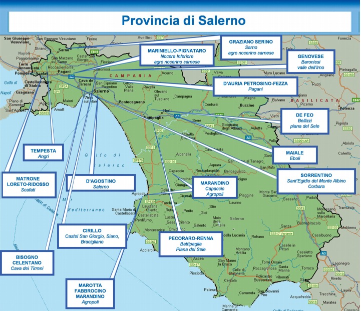 mappa clan salerno
