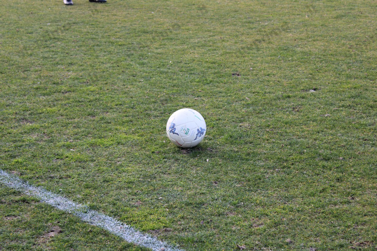 pallone