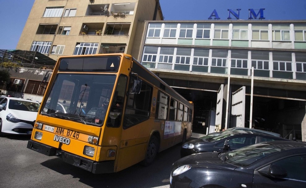 bus