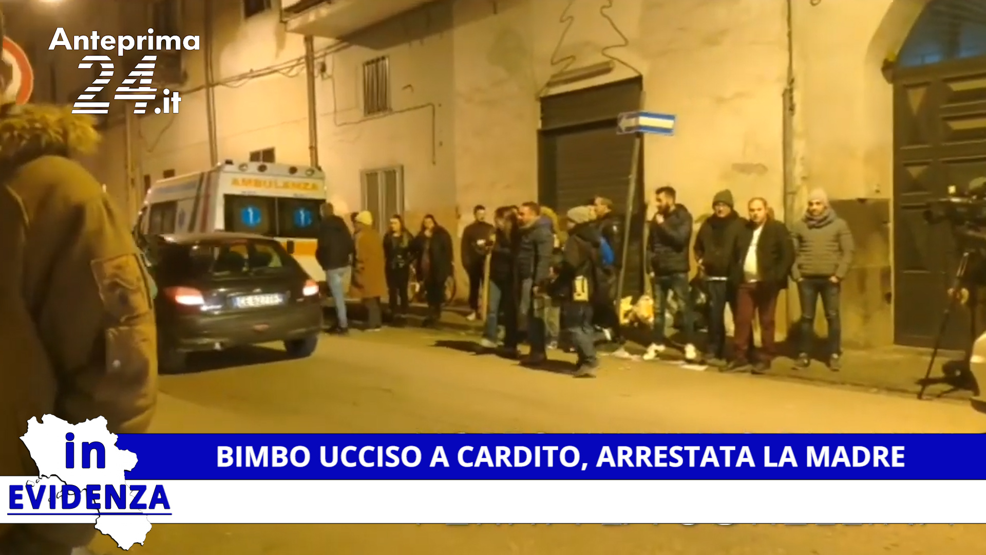 cardito