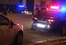 Abbandona per ore il cane in auto: denunciato un 40enne