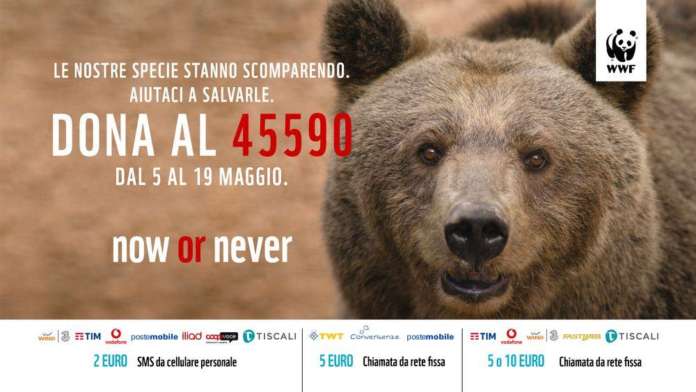 oasi wwf immagine