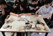 Telese Terme, sabato il convegno sull’archeologia dell’IIS Telesi@