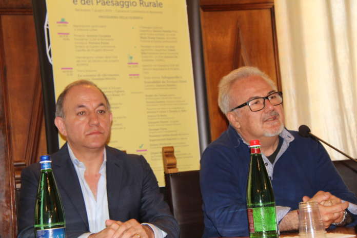 biowine cittaà del vino (4)