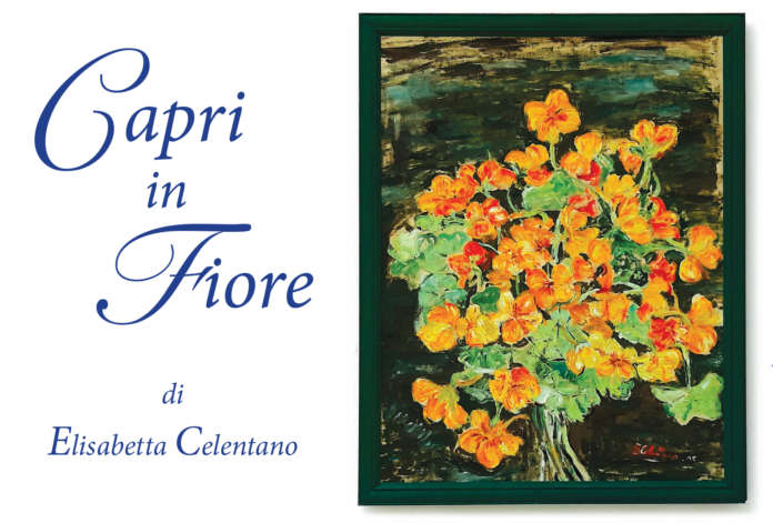 copertina_mostra