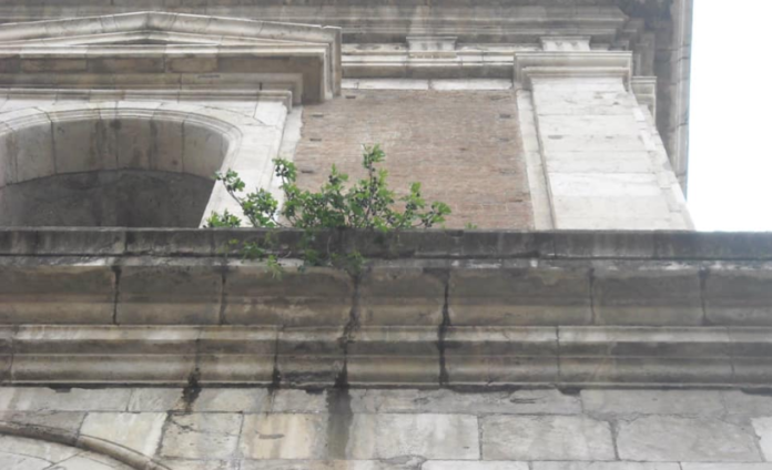 cornicioni