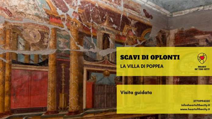 scavi di oplontis immagine