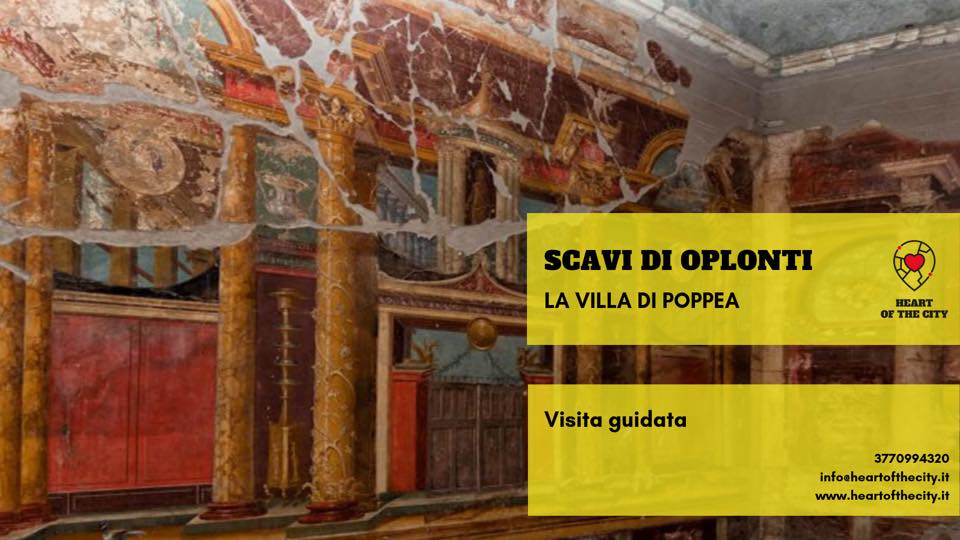 scavi di oplontis immagine
