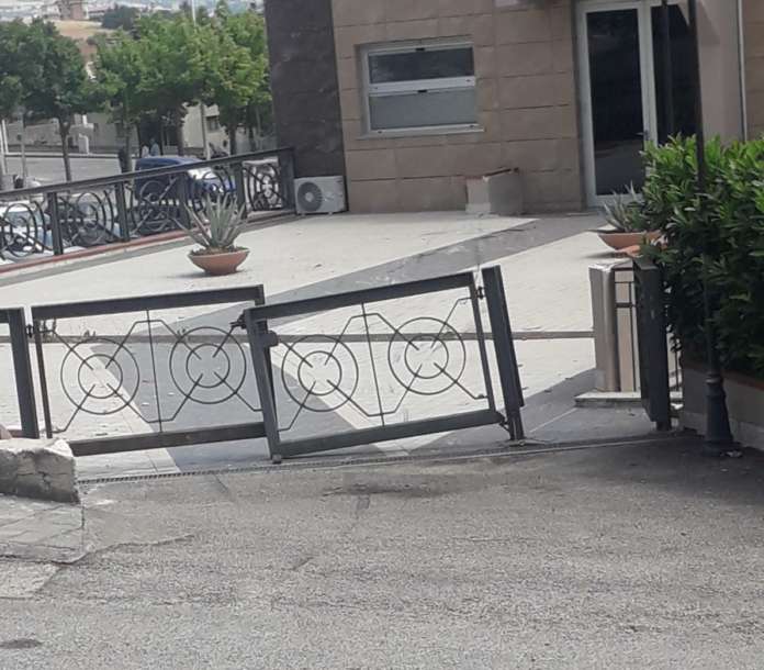 apice comune