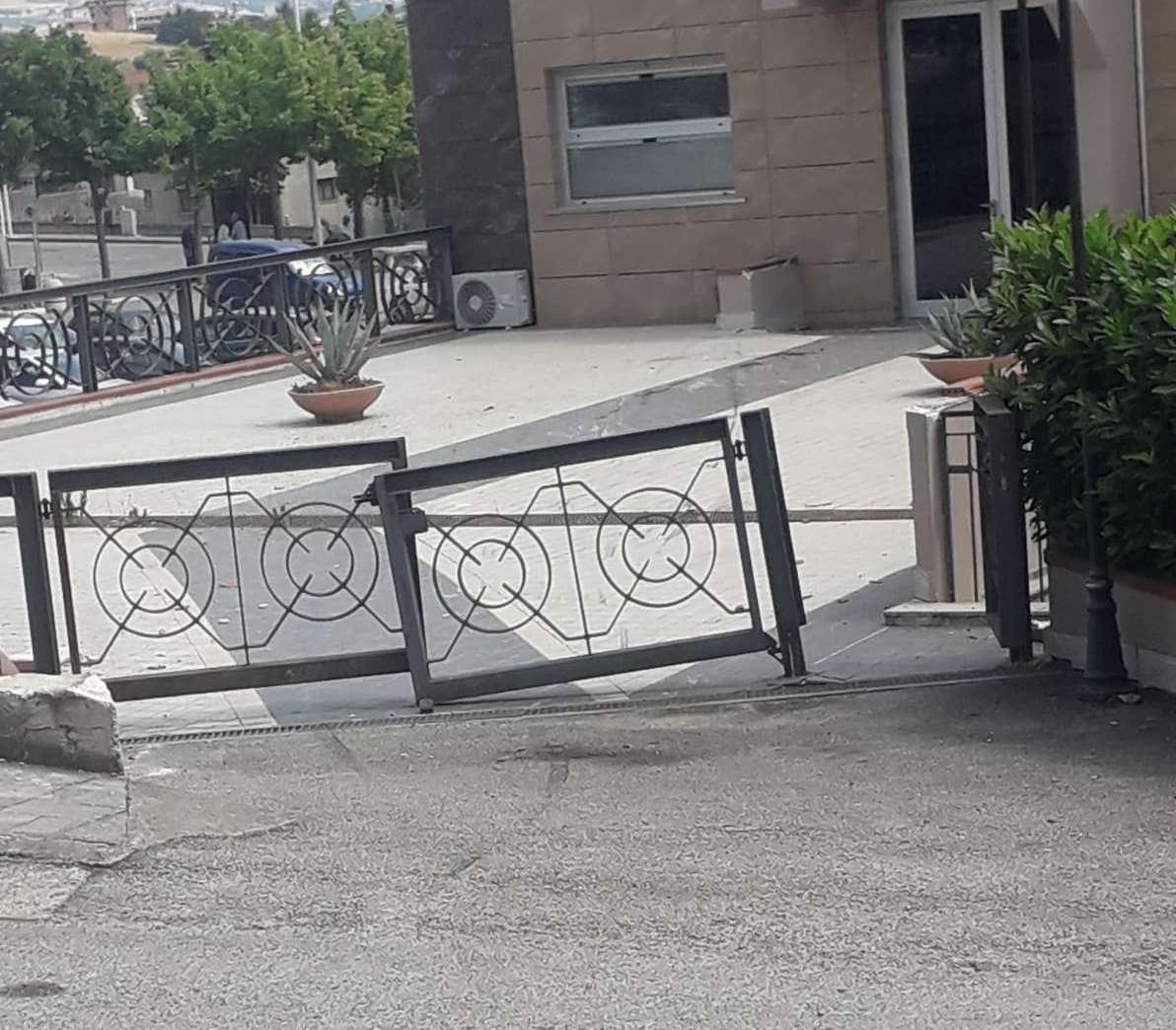 apice comune