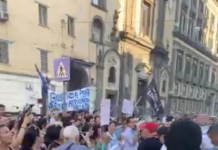 Pitbull ucciso da un agente, 300 animalisti in piazza contro la Polizia: “Giustizia per Rocky”