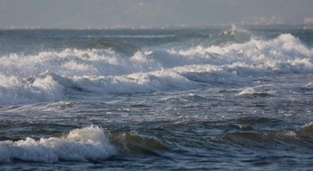 mare