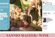 Sannio Master Wine, domani la Tavola Rotonda e il Laboratorio di Co-Progettazione