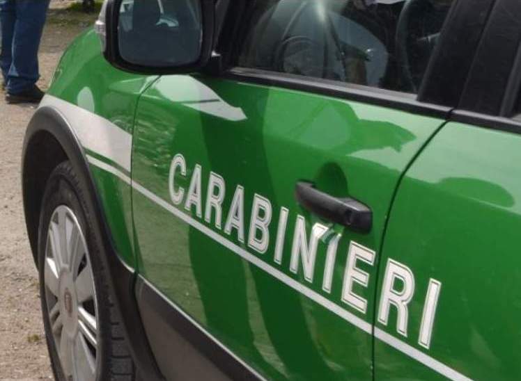 carabinieri forestali