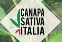 Sagra di paese, un giovane agricoltore presenta il suo nuovo progetto
