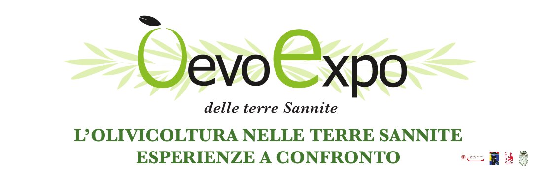 banner-oevo-expo-san-lorenzo-maggiore