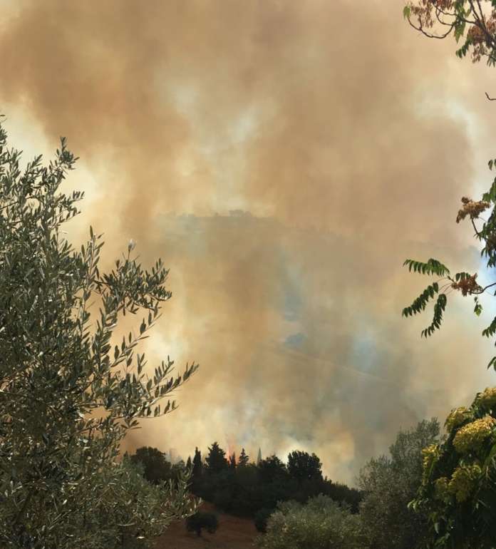 incendio apice