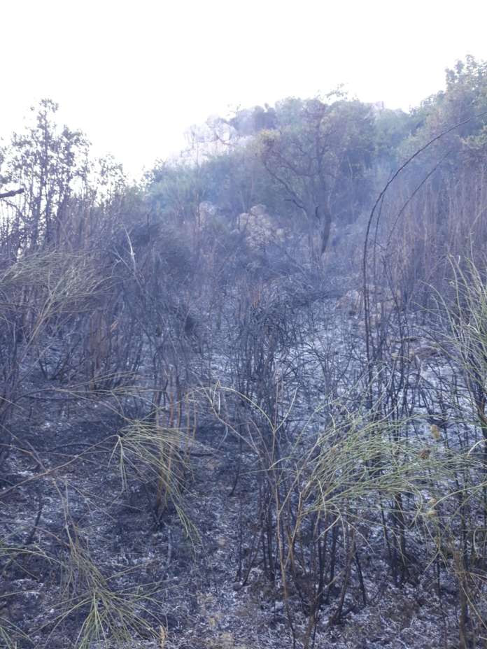 incendio domato