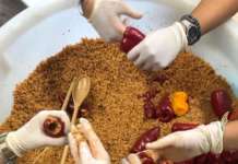 Tradizione e sapori, a Tocco Caudio protagonisti il peperone ed il fagiolo
