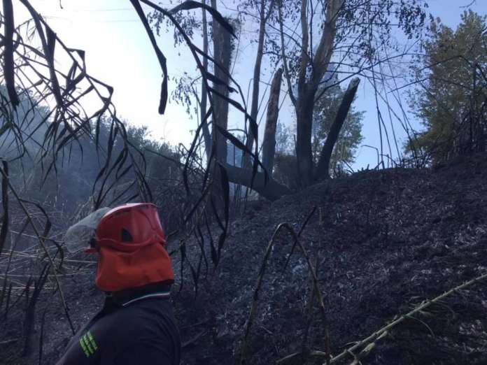 Pellezzano incendio