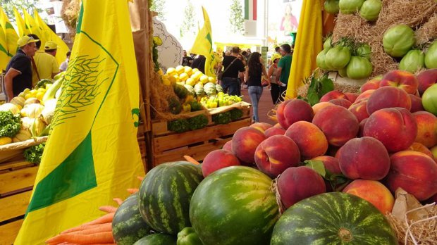 coldiretti alimentare