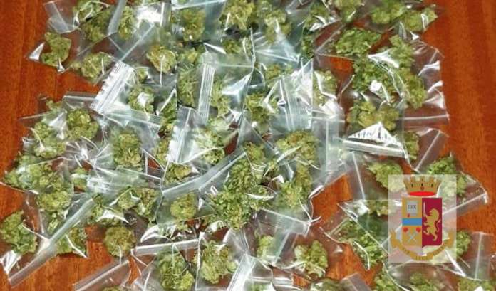 marijuana