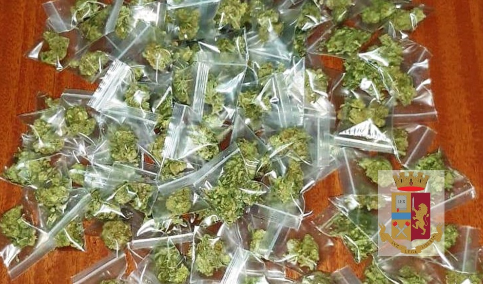 marijuana