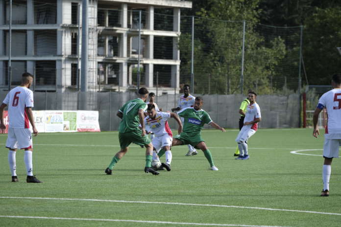 virtus Avellino