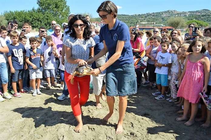Tartarughe liberazione