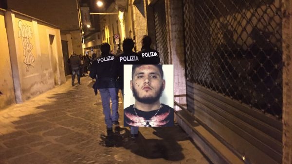movida nocerino