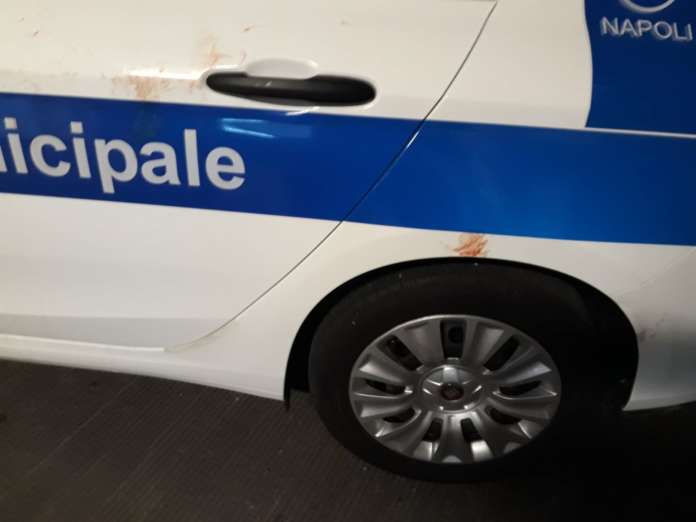 municipale sangue