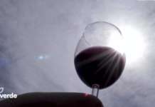 Vino, innovazione e sperimentazione: si chiude il percorso didattico, sabato conferenza finale