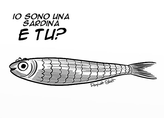 Sardine