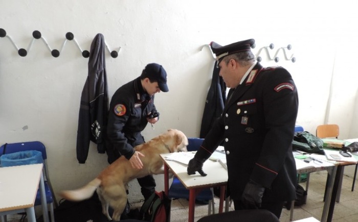 blitz carabinieri scuole