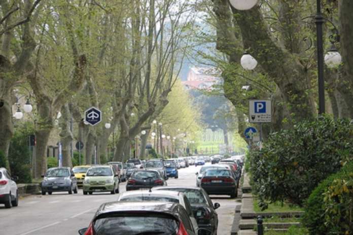 platani