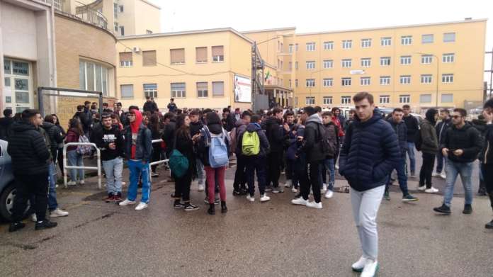 studenti alberti