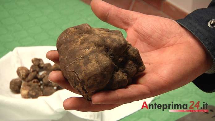 tartufo al borgo