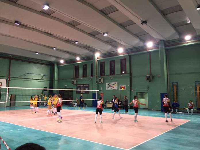 volare olimpia volley