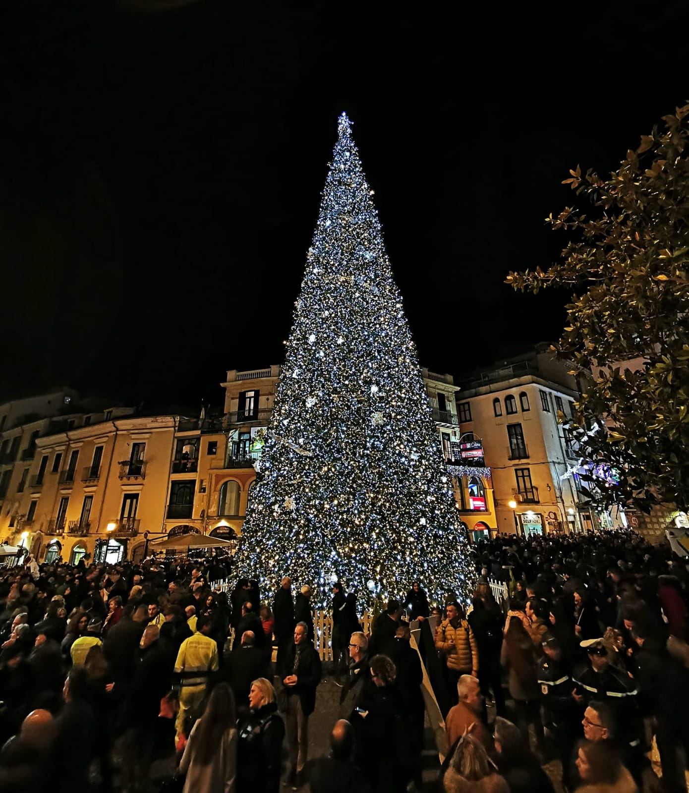 Albero Natale Salerno 2019
